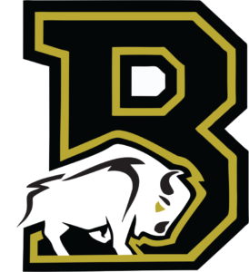 houston buffalo logo