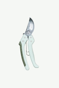 plants ecommerce accessories product featured img 3